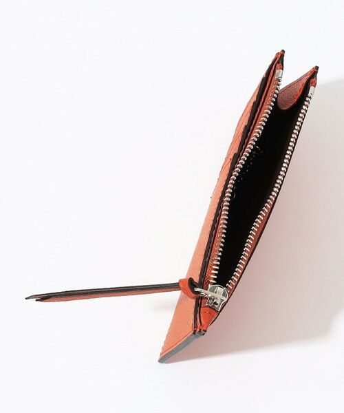 TOMORROWLAND / トゥモローランド 財布・コインケース・マネークリップ | 【別注】BROOKLYN MUSEUM シュリンクレザー フラグメントケース | 詳細13