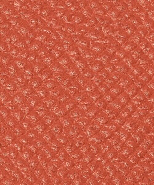 TOMORROWLAND / トゥモローランド 財布・コインケース・マネークリップ | 【別注】BROOKLYN MUSEUM シュリンクレザー フラグメントケース | 詳細14