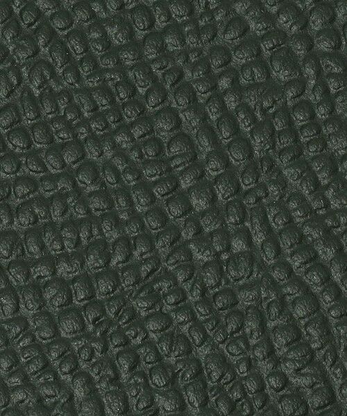 TOMORROWLAND / トゥモローランド 財布・コインケース・マネークリップ | 【別注】BROOKLYN MUSEUM シュリンクレザー フラグメントケース | 詳細16