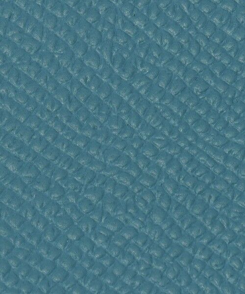 TOMORROWLAND / トゥモローランド 財布・コインケース・マネークリップ | 【別注】BROOKLYN MUSEUM シュリンクレザー フラグメントケース | 詳細18