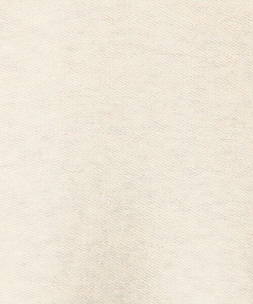 TOMORROWLAND / トゥモローランド ニット・セーター | コットンナイロンスエットニット クルーネックプルオーバー | 詳細9