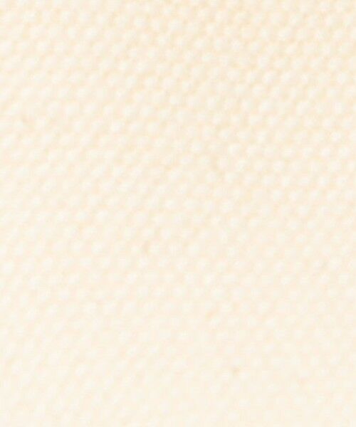 TOMORROWLAND / トゥモローランド ハンドバッグ | ADVENE MINI AGE コットンキャンバス バッグ | 詳細13