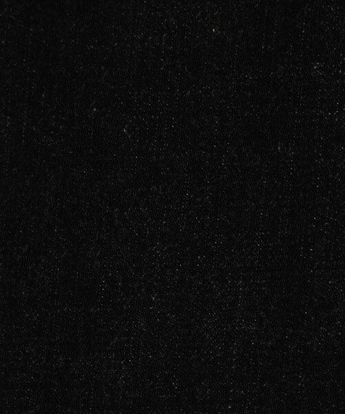 TOMORROWLAND / トゥモローランド デニムパンツ | ブラックデニム バギーパンツ | 詳細9