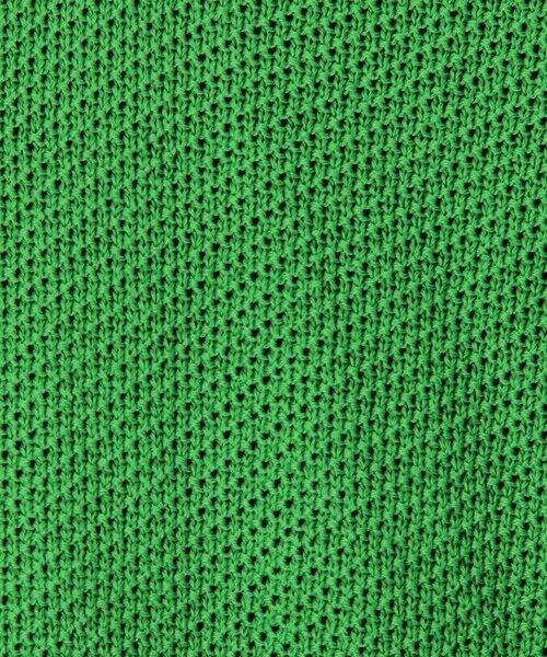 TOMORROWLAND / トゥモローランド ニット・セーター | TOMORROWLAND tricot ギマコットンニット スタンドカラープルオーバー | 詳細10
