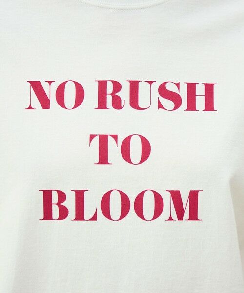 TOMORROWLAND / トゥモローランド Tシャツ | コットンロゴプリント Tシャツ | 詳細9