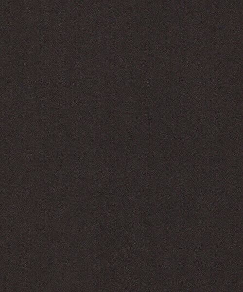 TOMORROWLAND / トゥモローランド シャツ・ブラウス | 【WEB先行予約】ジャージーライクジョーゼット フレアブラウス | 詳細9