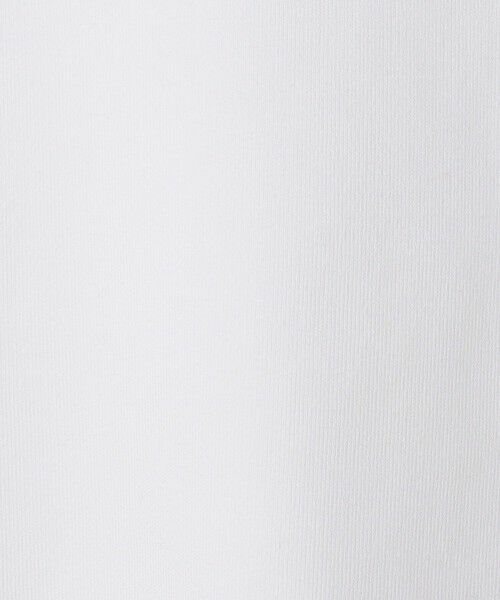 TOMORROWLAND / トゥモローランド ニット・セーター | シーアイランドコットン クルーネックプルオーバー | 詳細9