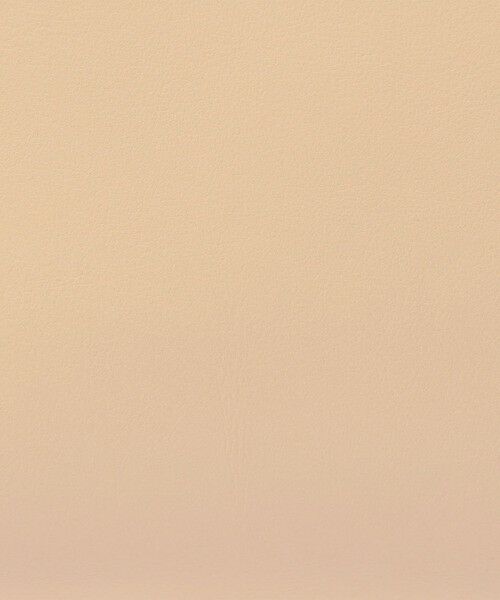 TOMORROWLAND / トゥモローランド ハンドバッグ | CARBOTTI DIANA 321 ハンドバッグ | 詳細14