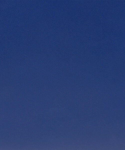 TOMORROWLAND / トゥモローランド ハンドバッグ | CARBOTTI DIANA 321 ハンドバッグ | 詳細18