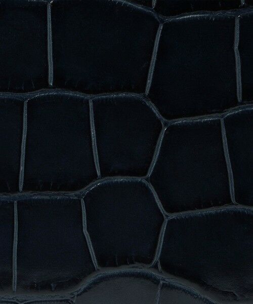 TOMORROWLAND / トゥモローランド ハンドバッグ | CARBOTTI GRETA 245 ハンドバッグ | 詳細12