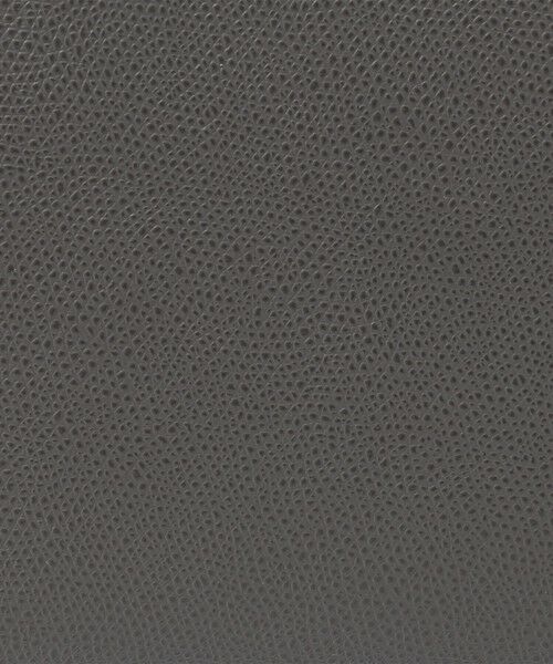 TOMORROWLAND / トゥモローランド ハンドバッグ | CARBOTTI ERIKA ハンドバッグ | 詳細12