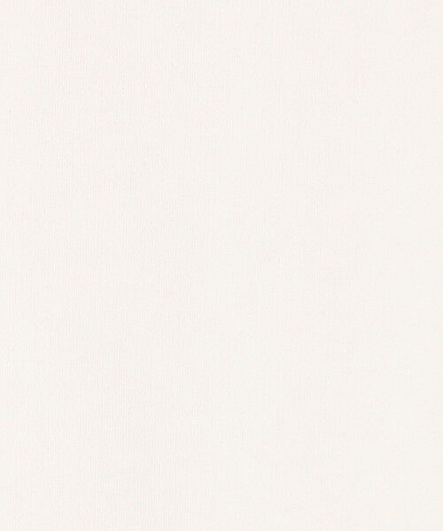 TOMORROWLAND / トゥモローランド カットソー | 【別注】BARBARIAN コットン ロングスリーブクルーネックカットソー | 詳細10