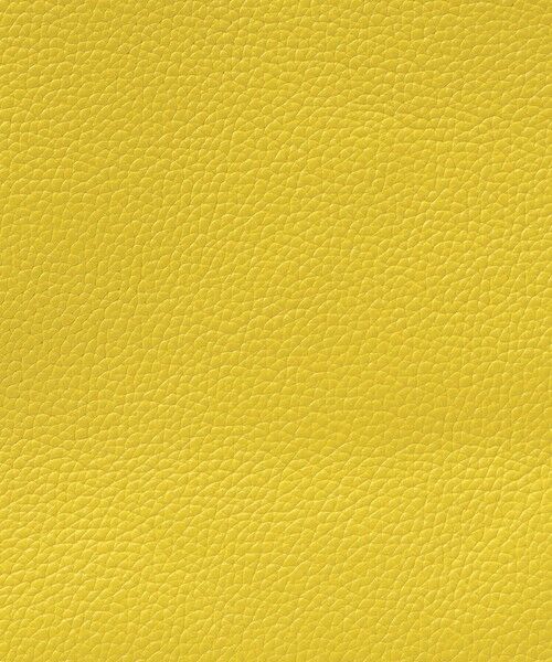 TOMORROWLAND / トゥモローランド トートバッグ | MIUUR Lomu mini ショルダーバッグ | 詳細12