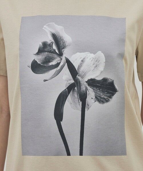 TOMORROWLAND / トゥモローランド Tシャツ | 【別注】LISA KING JAGGER ハーフスリーブプルオーバー | 詳細6