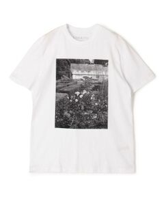 TOMORROWLAND / トゥモローランド Tシャツ | 【別注】LISA KING GREENHOUSE ハーフスリーブプルオーバー