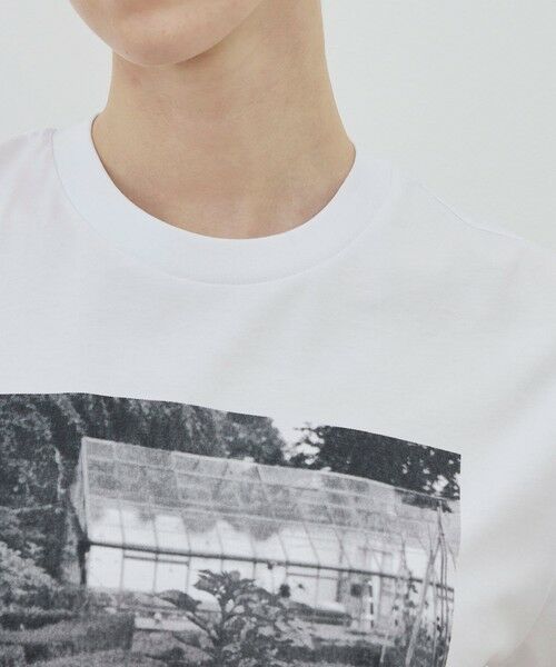 TOMORROWLAND / トゥモローランド Tシャツ | 【別注】LISA KING GREENHOUSE ハーフスリーブプルオーバー | 詳細5