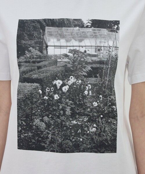 TOMORROWLAND / トゥモローランド Tシャツ | 【別注】LISA KING GREENHOUSE ハーフスリーブプルオーバー | 詳細6