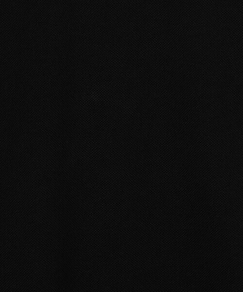 TOMORROWLAND / トゥモローランド ポロシャツ | LACOSTE L1212 ポロシャツ | 詳細14