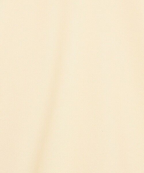 TOMORROWLAND / トゥモローランド ポロシャツ | LACOSTE L1212 ポロシャツ | 詳細16