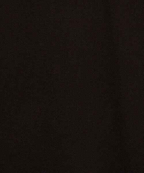 TOMORROWLAND / トゥモローランド ポロシャツ | LACOSTE L1212 ポロシャツ | 詳細17