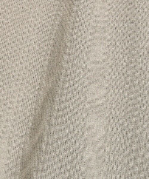 TOMORROWLAND / トゥモローランド ニット・セーター | 【別注J】JOHN SMEDLEY 30Gシーアイランドコットン ニットポロ ISIS | 詳細13