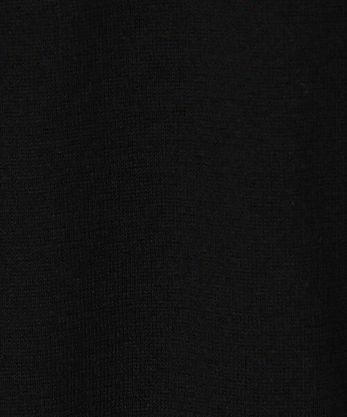 TOMORROWLAND / トゥモローランド ニット・セーター | 【別注J】JOHN SMEDLEY 30Gシーアイランドコットン ニットポロ ISIS | 詳細16