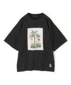 TOMORROWLAND / トゥモローランド カットソー | スビンコットン TROPICAL HORIZON Tシャツ