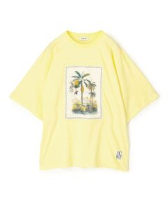 TOMORROWLAND / トゥモローランド カットソー | スビンコットン TROPICAL HORIZON Tシャツ