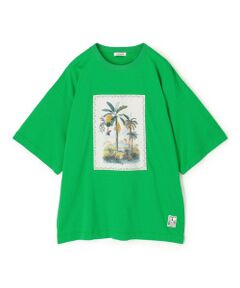 TOMORROWLAND / トゥモローランド カットソー | スビンコットン TROPICAL HORIZON Tシャツ
