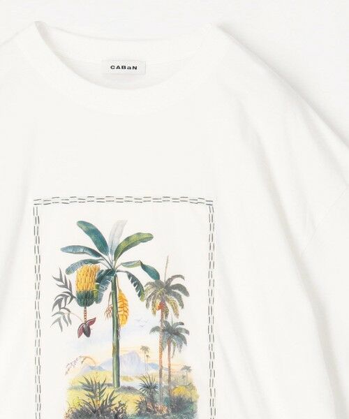 TOMORROWLAND / トゥモローランド カットソー | スビンコットン TROPICAL HORIZON Tシャツ | 詳細3