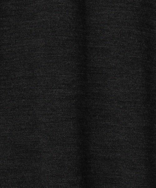 TOMORROWLAND / トゥモローランド ポロシャツ | TOMORROWLAND tricot スーパーファインメリノウール ニットポロ S-WOOL | 詳細12