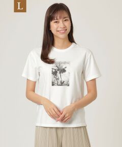 【L】【ウォッシャブル】メガハイゲージプリントTシャツ