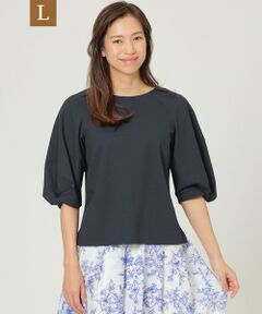 TRANS WORK (大きいサイズ) / トランスワーク (オオキイサイズ) その他トップス | 【L】【吸水速乾】【防しわ性】【ウォッシャブル】コードレーンストライプブラウス