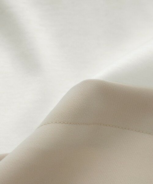 TRANS WORK (大きいサイズ) / トランスワーク (オオキイサイズ) その他トップス | 【L】【ウォッシャブル】ドライダブルクロス×スムースコンビカットソー | 詳細9