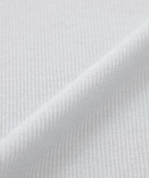 TRANS WORK (大きいサイズ) / トランスワーク (オオキイサイズ) その他トップス | 【L】【ウォッシャブル】強撚ラメテレコカットソー | 詳細8