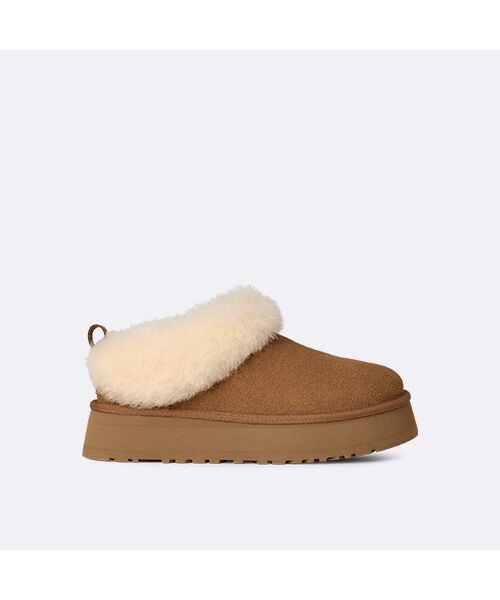 UGG(R)/AO u[ciV[gj uE 6