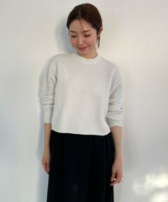 UNFILO / アンフィーロ ニット・セーター | 【WEB限定】ラメリンクス クロップドニット