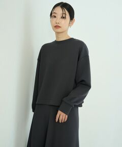 UNFILO / アンフィーロ スウェット | 【2WAY】BEAUTY FORM JERSEY ハーフZIP プルオーバー