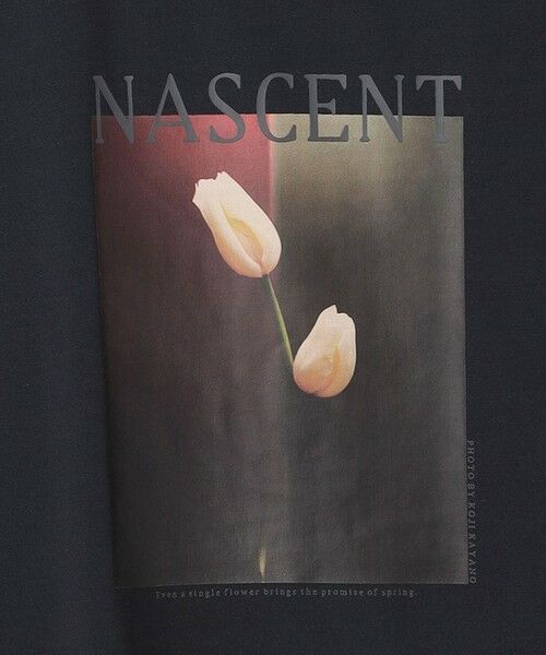 UNFILO / アンフィーロ カットソー | 多機能CLEANフォトTEE | 詳細5