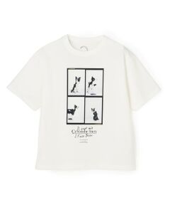 UNFILO / アンフィーロ カットソー | CLEAN-Tee