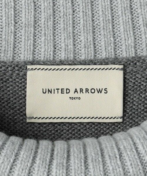 UNITED ARROWS / ユナイテッドアローズ ニット・セーター | バイカラー ハイネック ニットプルオーバー | 詳細18