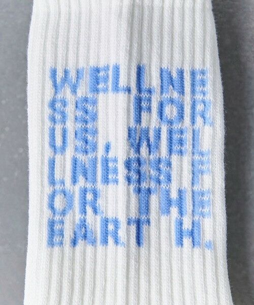 UNITED ARROWS / ユナイテッドアローズ ソックス | ＜TO UNITED ARROWS＞MESSAGE  ソックス2 | 詳細10