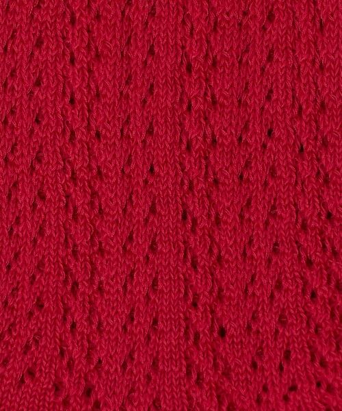 UNITED ARROWS / ユナイテッドアローズ ソックス | ＜CONLEAD＞C/N レースソックス | 詳細11