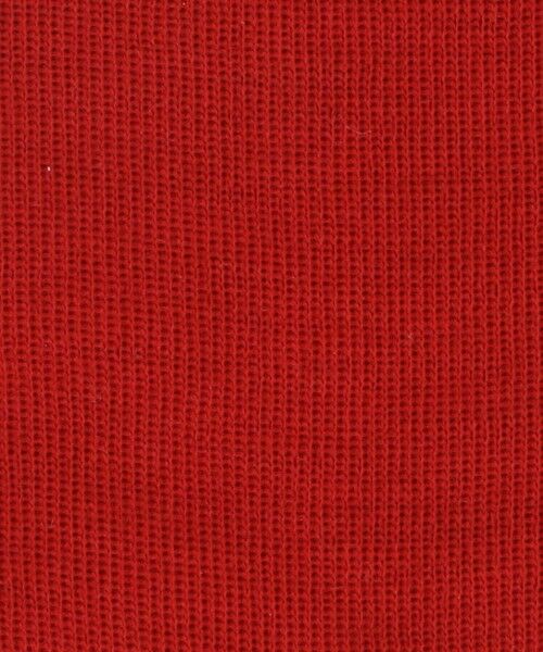 UNITED ARROWS / ユナイテッドアローズ ソックス | ＜babaco＞ WL リブソックス | 詳細1