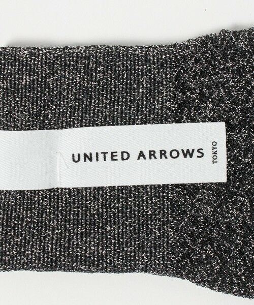 UNITED ARROWS / ユナイテッドアローズ ソックス | シアー グリッター ソックス | 詳細2
