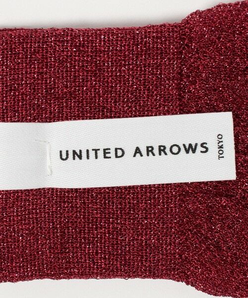 UNITED ARROWS / ユナイテッドアローズ ソックス | シアー グリッター ソックス | 詳細7