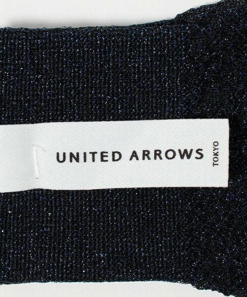 UNITED ARROWS / ユナイテッドアローズ ソックス | シアー グリッター ソックス | 詳細9