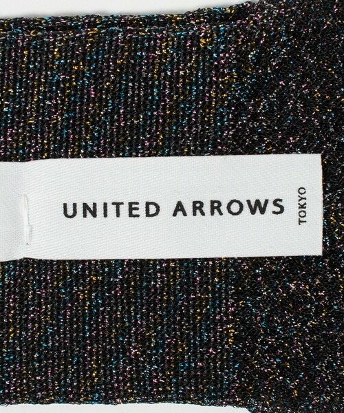 UNITED ARROWS / ユナイテッドアローズ ソックス | シアー グリッター ソックス | 詳細11