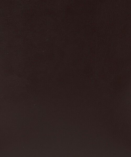 UNITED ARROWS / ユナイテッドアローズ ショルダーバッグ | 【別注】＜＆MyuQ＞JUNO MINI バッグ | 詳細20