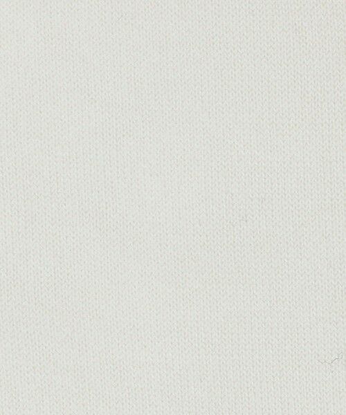 UNITED ARROWS / ユナイテッドアローズ ソックス | ＜BLEU FORET＞W/SI ソックス | 詳細1